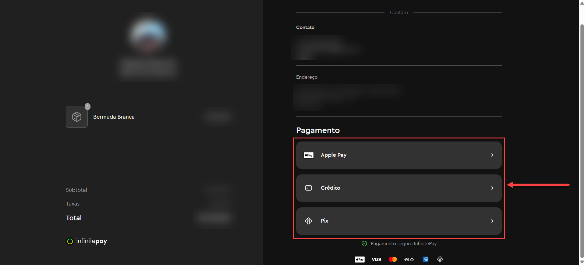 Tela do link de pagamento da InfinitePay gerado a partir de um pedido no catálogo digital do sistema SMB Store, na aba de seleção de forma de pagamento.