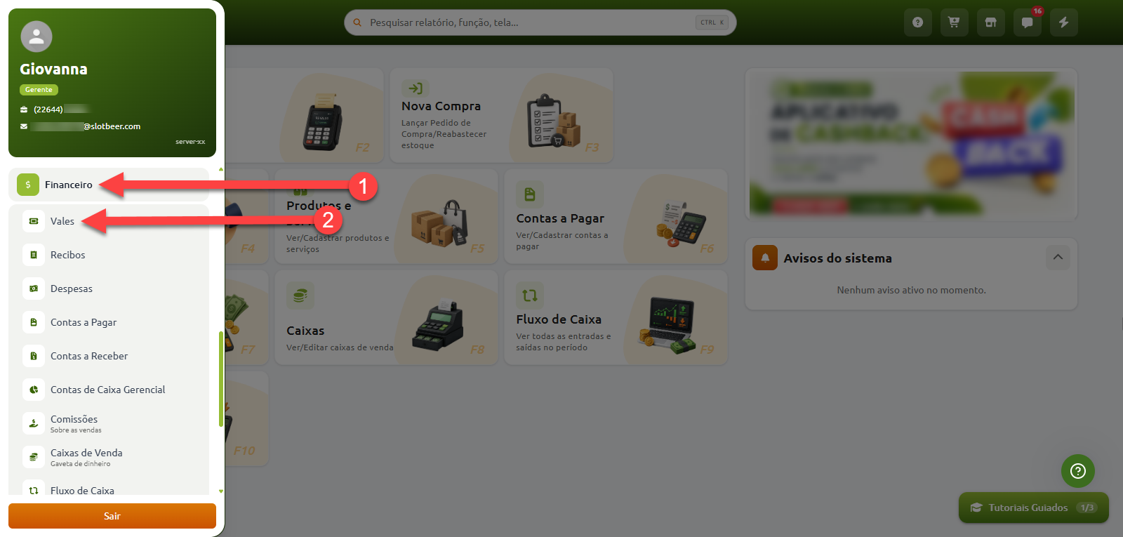 Painel do sistema com o menu lateral aberto, destacando em sequência o acesso à seção Financeiro e à opção Vales.