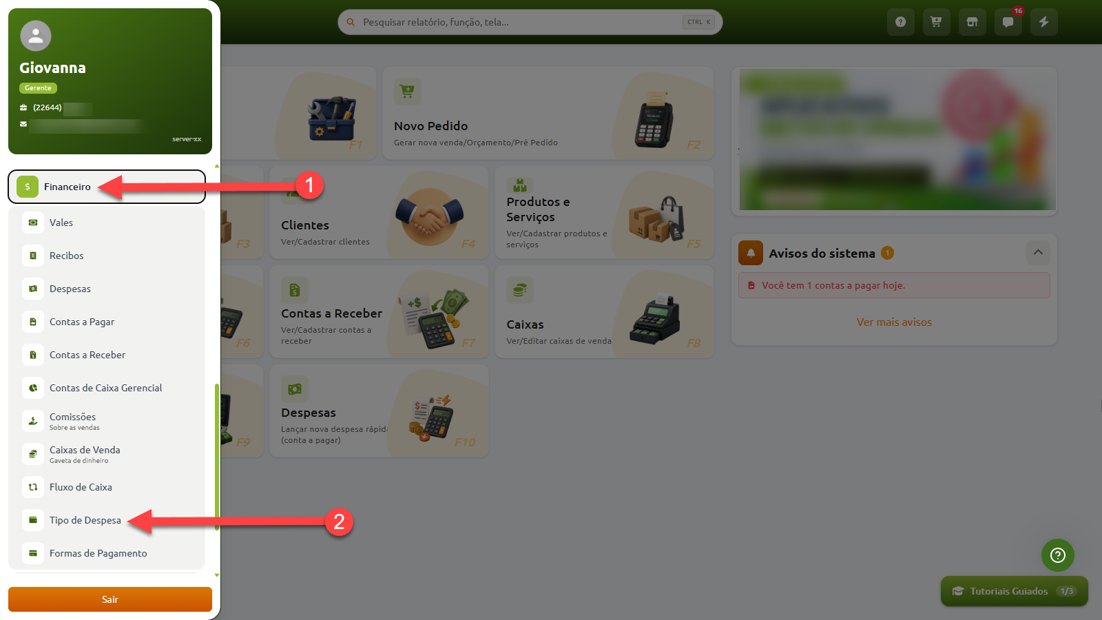 Menu lateral do sistema com indicação do passo a passo para acessar a opção "Tipo de Despesa", dentro da seção "Financeiro".