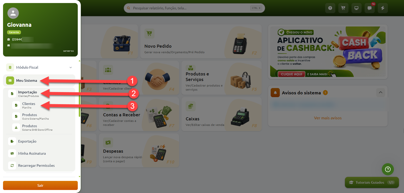 Menu lateral de navegação do sistema com instruções passo a passo para importação de clientes via planilha, indicando a sequência pelas opções Meu Sistema, Importação e Clientes.