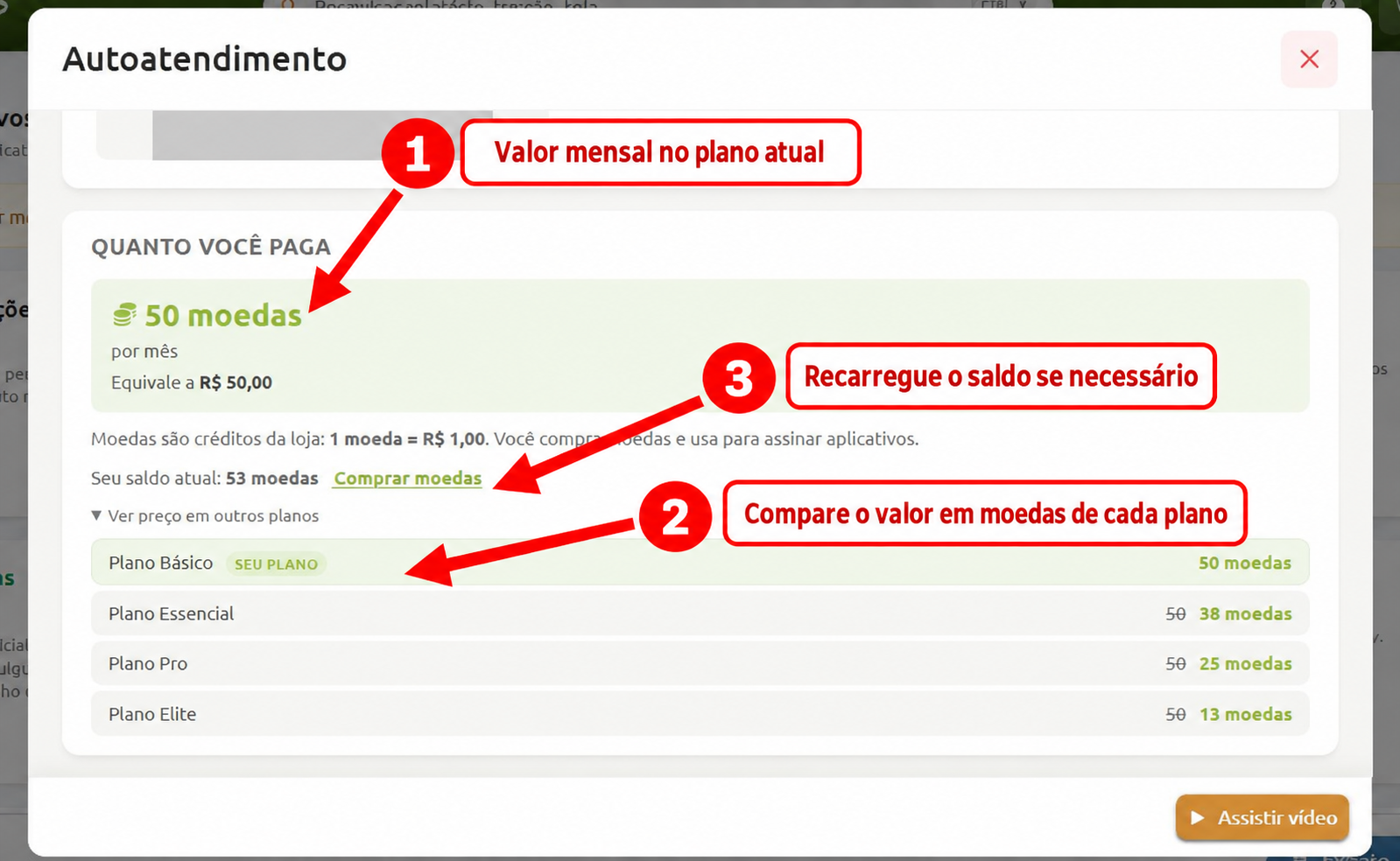 Tela de autoatendimento com instruções numeradas sobre a assinatura de aplicativos, destacando o valor mensal do plano atual em moedas e reais no passo 1, a tabela de comparação de preços entre diferentes planos no passo 2 e o saldo disponível com a opção para comprar mais moedas no passo 3.